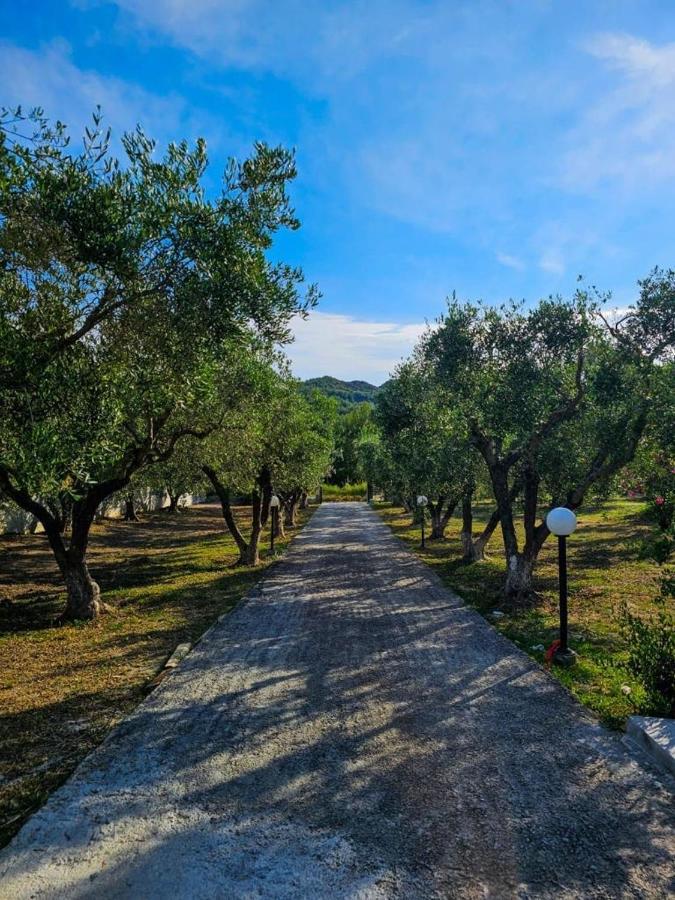 Villa Melina Πευκοχώρι Εξωτερικό φωτογραφία